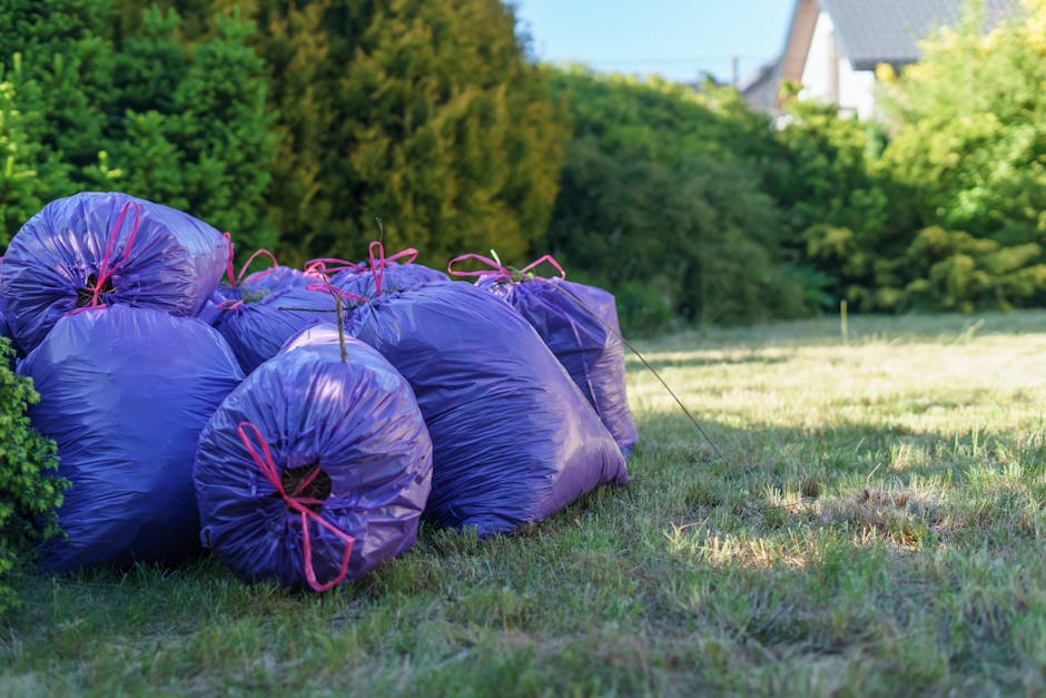 A group of six large plastic rubbish bags in a vibrant purple colour are stacked and gathered on a green grassy area, with a few tied with pink drawstrings. The bags appear to be filled with garden waste or general rubbish, and are placed close to a hedge of green foliage on the left side of the image. In the background, there is a backdrop of dense trees with lush green leaves, and the tops of residential buildings with pitched roofs and chimneys are visible in the distance. The scene is illuminated by natural daylight, casting soft shadows across the ground, suggesting a bright and clear day. This outdoor setting, combined with the presence of waste bags, subtly aligns with the theme of private waste collection or rubbish removal services, such as those provided by Waste Disposal Maida Vale, emphasizing methods for managing garden waste or excess rubbish outside of local authority collection.